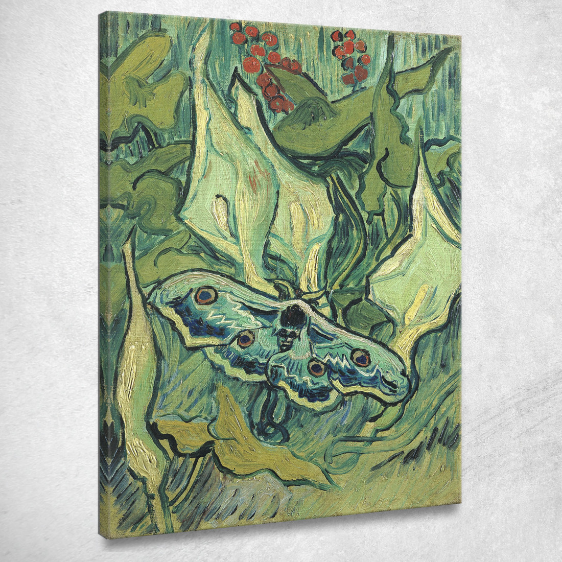 Grande Pavonia Vincent van Gogh vvg132 quadro stampato su tela