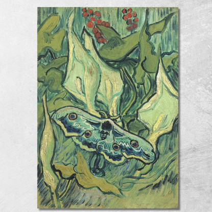 Grande Pavonia Vincent van Gogh vvg132 quadro stampato su tela