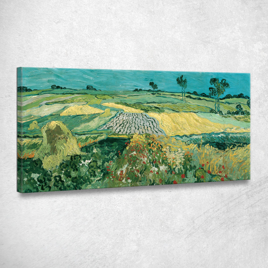 La Pianura Di Auvers Vincent van Gogh vvg173 quadro stampato su tela