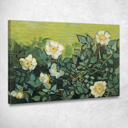 Rose Selvatiche Vincent van Gogh vvg179 quadro stampato su tela