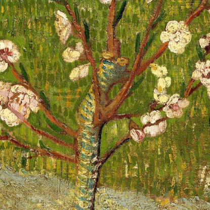 Mandorlo In Fiore Vincent van Gogh vvg190 quadro stampato su tela