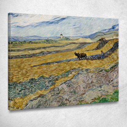 Campo Recintato Con Aratore Vincent van Gogh vvg207 quadro stampato su tela