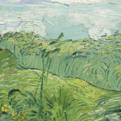 Campi Di Grano Verde Auvers Vincent van Gogh vvg218 quadro stampato su tela