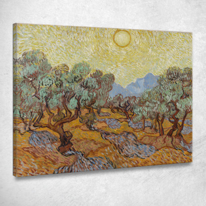 Olivi Vincent van Gogh vvg247 quadro stampato su tela