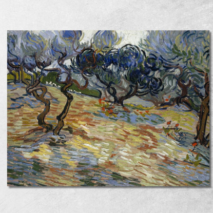 Olivi 3 Vincent van Gogh vvg249 quadro stampato su tela