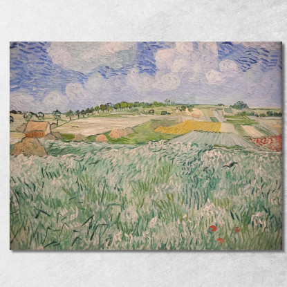 Pianura Vicino Ad Auvers Vincent van Gogh vvg256 quadro stampato su tela