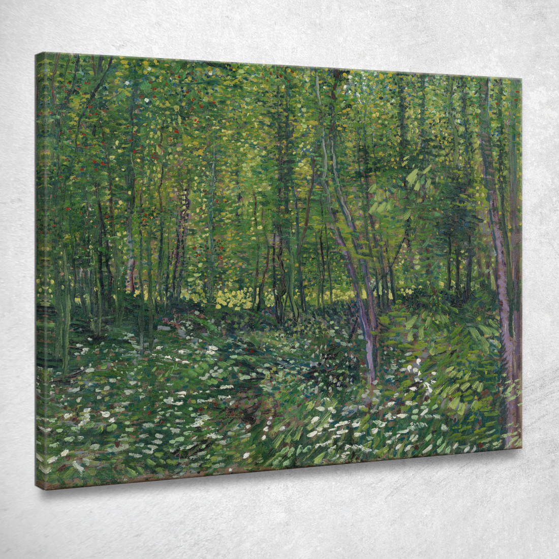 Alberi E Sottobosco Vincent van Gogh vvg302 quadro stampato su tela