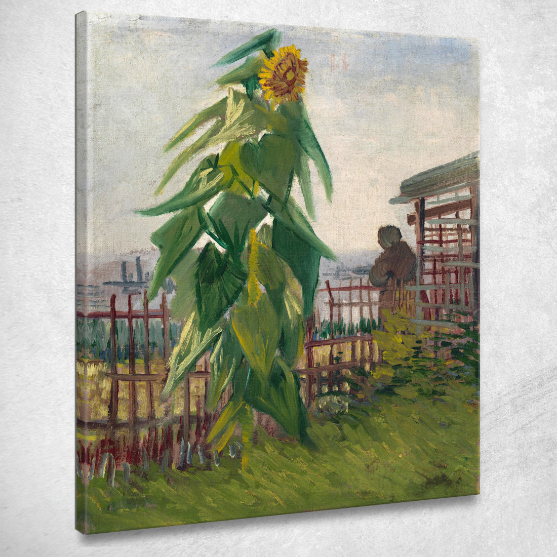 Riparto Con Girasole Vincent van Gogh vvg314 quadro stampato su tela