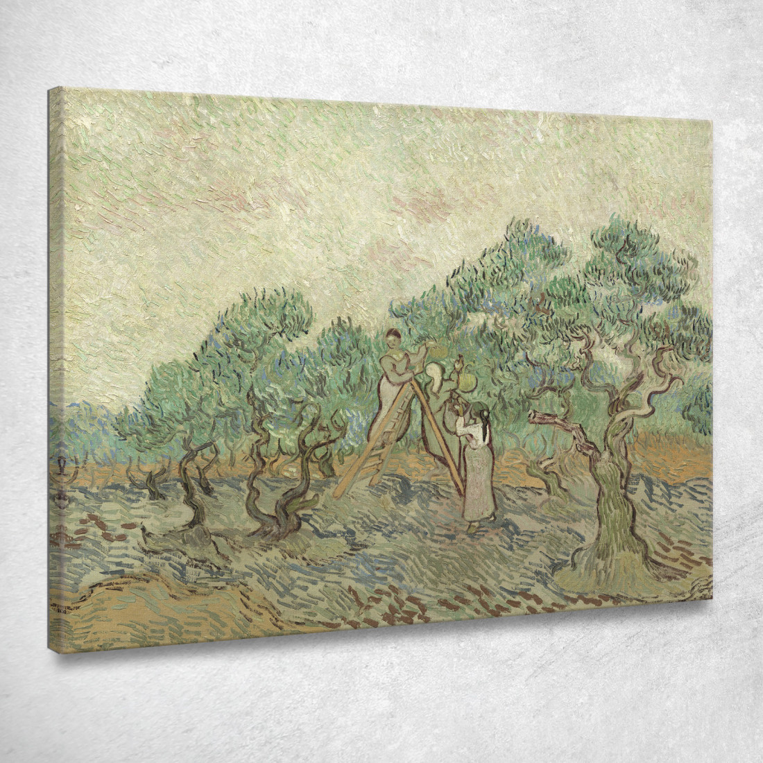 L'Oliveto 1889 Vincent van Gogh vvg329 quadro stampato su tela