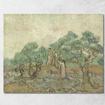 L'Oliveto 1889 Vincent van Gogh vvg329 quadro stampato su tela