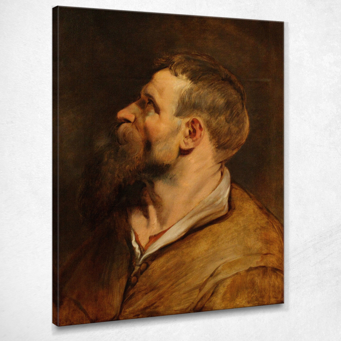 Testa Di Uomo Barbuto Peter Paul Rubens ppr81 quadro stampato su tela Testa Di Uomo Barbuto Peter Paul Rubens ppr81 quadro stampato su tela
