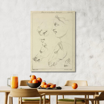 Teste Di Cavallo E Testa Umana Di Profilo Peter Paul Rubens ppr97 quadro stampato su tela