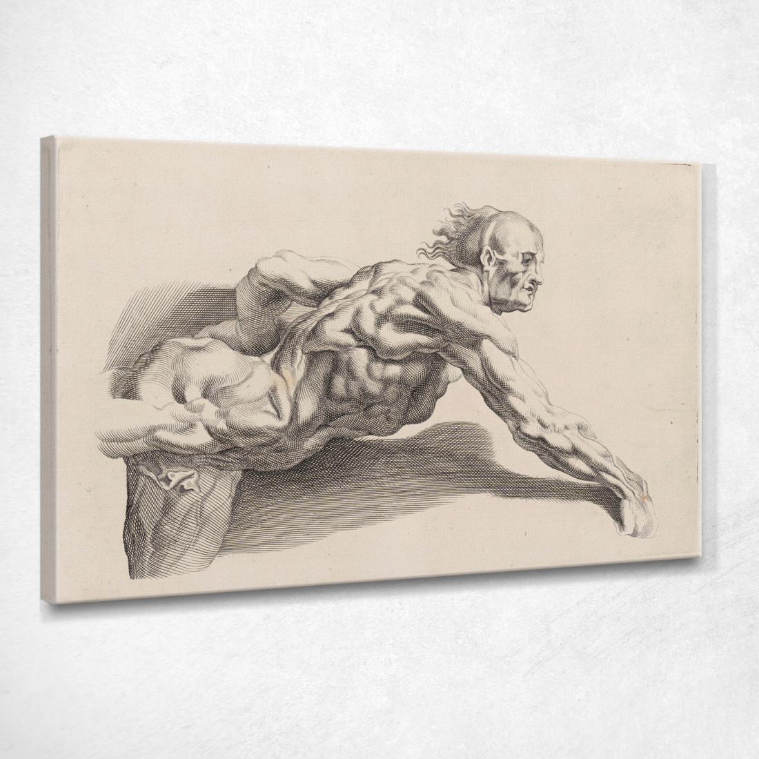 Studio Di Nudo 2 Peter Paul Rubens ppr122 quadro stampato su tela Studio Di Nudo 2 Peter Paul Rubens ppr122 quadro stampato su tela