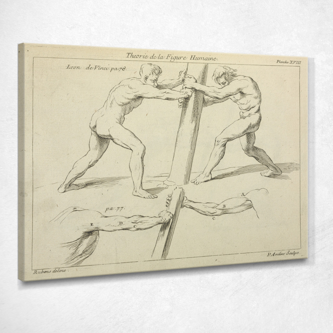 Studi Di Due Figure Che Spingono Contro Un Pilastro Peter Paul Rubens ppr189 quadro stampato su tela Studi Di Due Figure Che Spingono Contro Un Pilastro Peter Paul Rubens ppr189 quadro stampato su tela