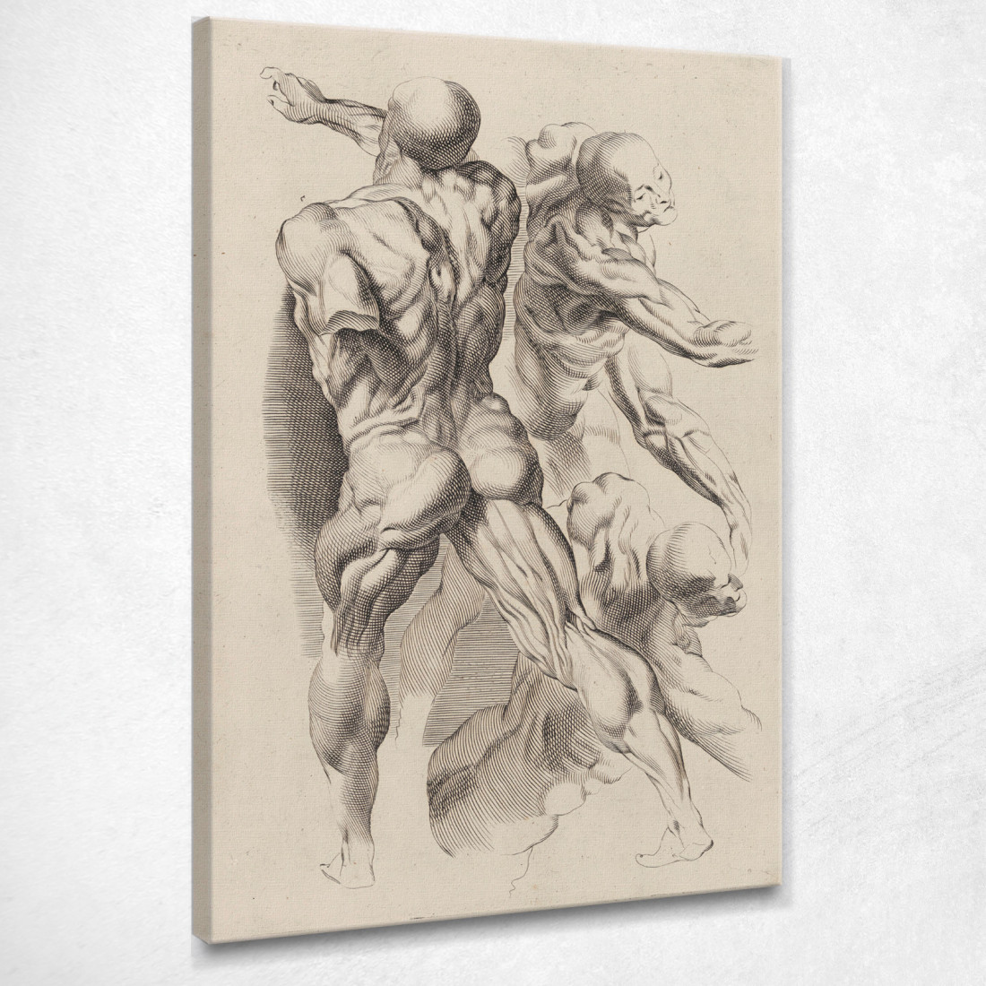 Studio Di Due Uomini Nudi Peter Paul Rubens ppr198 quadro stampato su tela Studio Di Due Uomini Nudi Peter Paul Rubens ppr198 quadro stampato su tela