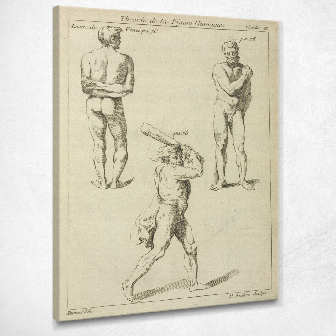 Tre Studi Di Figure Maschili 2 Peter Paul Rubens ppr299 quadro stampato su tela Tre Studi Di Figure Maschili 2 Peter Paul Rubens ppr299 quadro stampato su tela