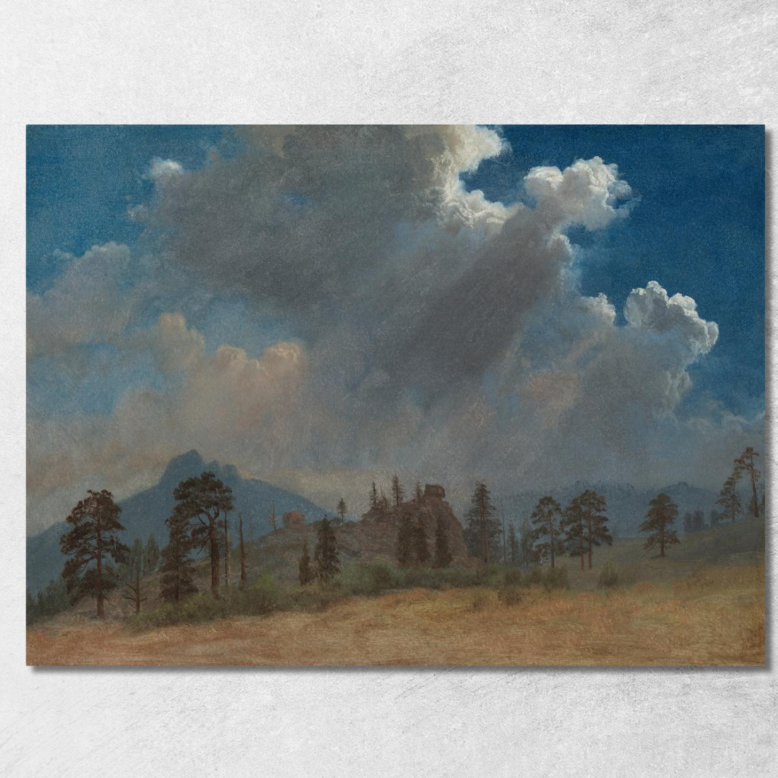 Abeti E Nuvole Temporalesche Albert Bierstadt abr24 quadro stampato su tela Abeti E Nuvole Temporalesche Albert Bierstadt abr24 quadro stampato su tela