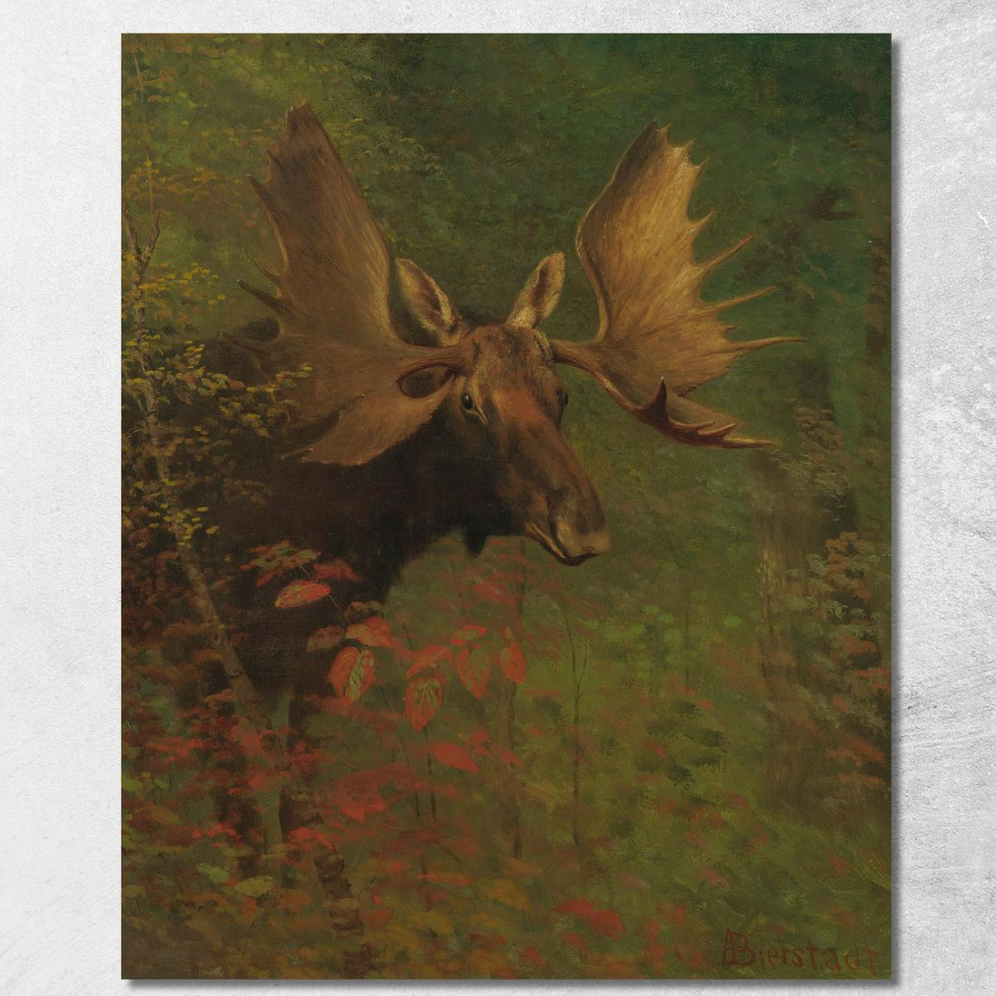 Studio Di Un Alce Albert Bierstadt abr94 quadro stampato su tela Studio Di Un Alce Albert Bierstadt abr94 quadro stampato su tela