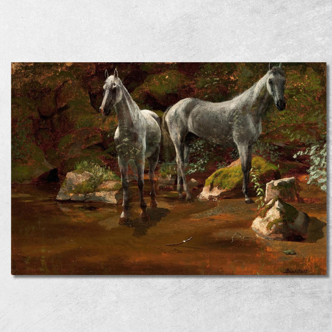 Studio Dei Cavalli Selvaggi Albert Bierstadt abr98 quadro stampato su tela Studio Dei Cavalli Selvaggi Albert Bierstadt abr98 quadro stampato su tela