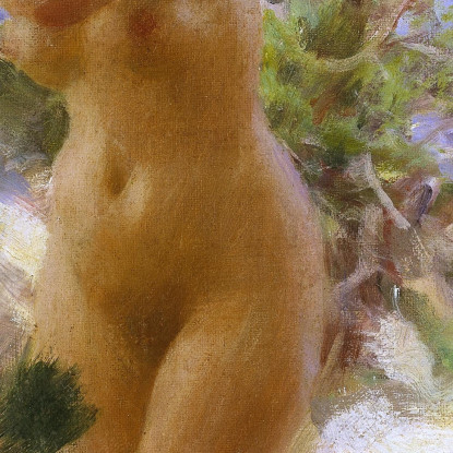 Dopo Il Bagno Anders Zorn azn2 quadro stampato su tela