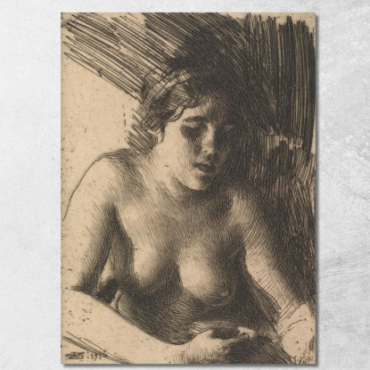 Torace Anders Zorn azn8 quadro stampato su tela