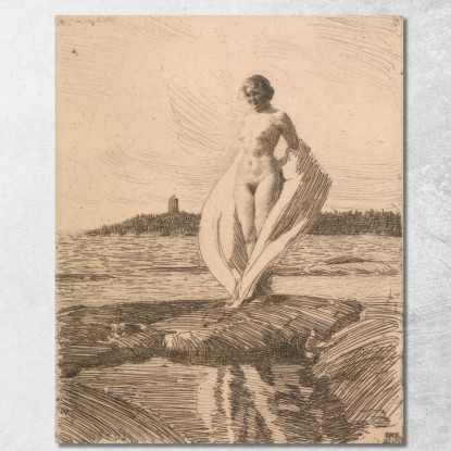 Il Cigno Anders Zorn azn75 quadro stampato su tela