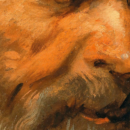 Testa Di Un Uomo Barbuto Anthony van Dyck avd30 quadro stampato su tela