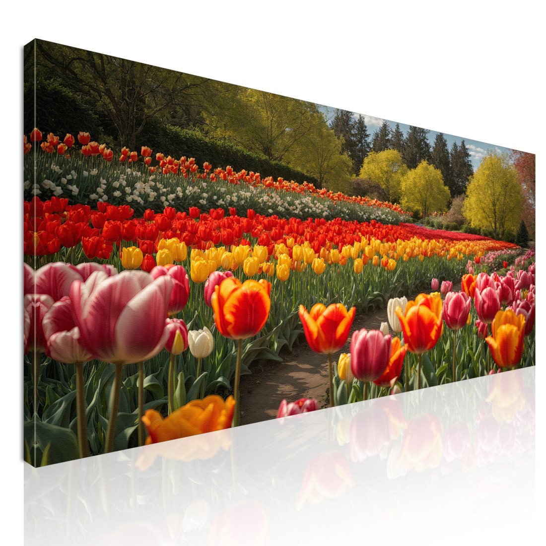 Quadro Botanico Campo Di Tulipani Colorati In Primavera bow12 quadro stampato su tela