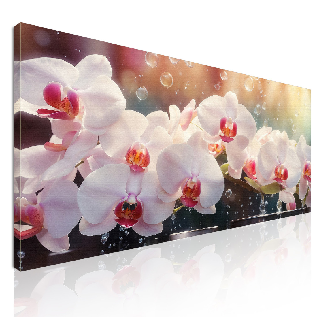 Quadro Botanico Orchidee Bianche E Rosa Con Gocce D'Acqua bow24 quadro stampato su tela