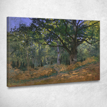 La Quercia Bodmer Fontainebleau 1865 Claude Monet mnt68 quadro stampato su tela