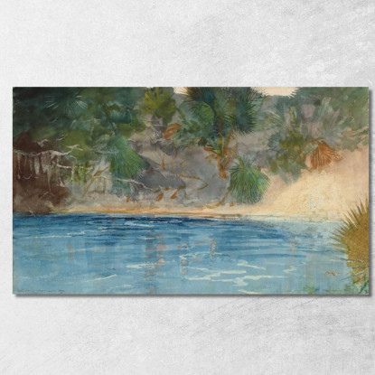 Blue Spring Florida Winslow Homer canvas print