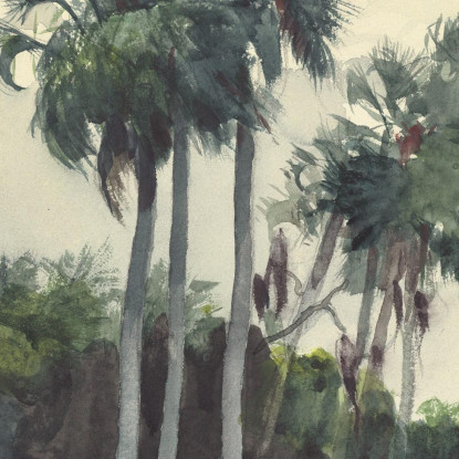 Chemise Rouge Homosassa Floride Winslow Homer tableau impression sur toile