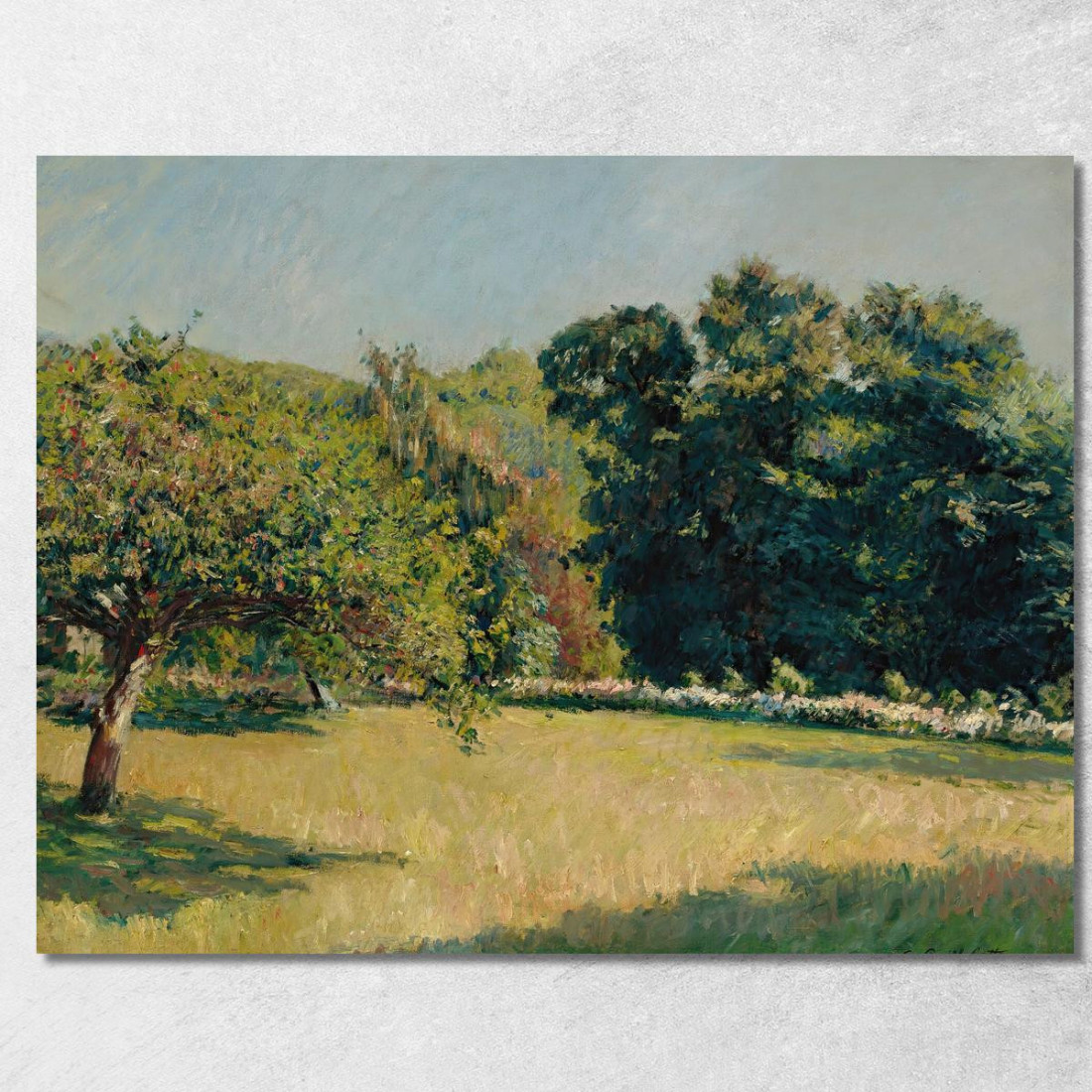 Un Giardino A Trouville Gustave Caillebotte gcl32 quadro stampato su tela Un Giardino A Trouville Gustave Caillebotte gcl32 quadro stampato su tela