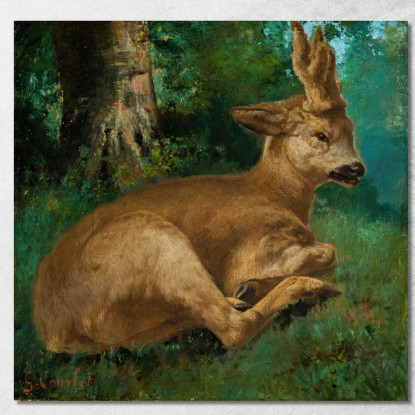 Capriolo Gustave Courbet cg149 quadro stampato su tela