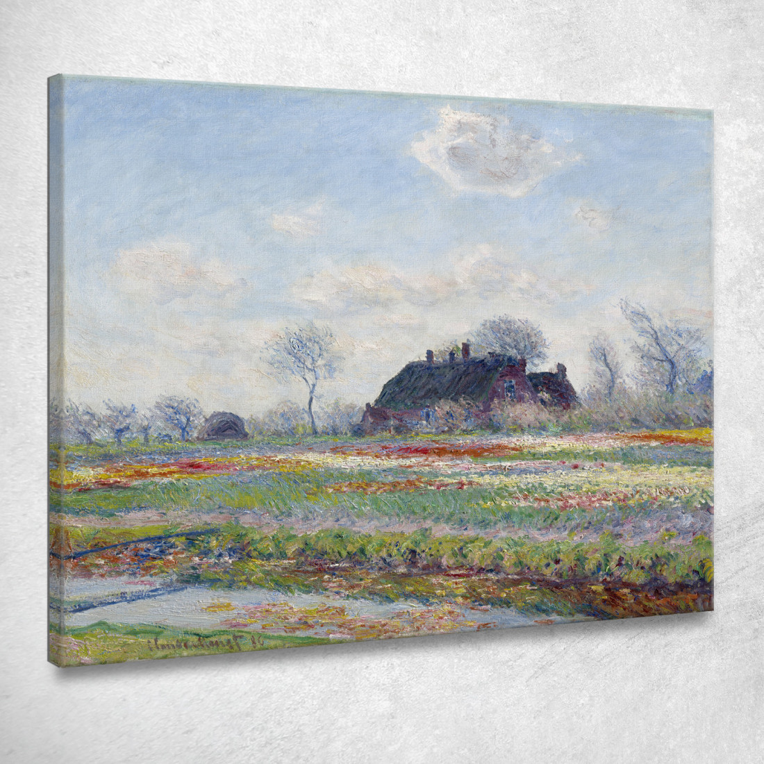 Campi Di Tulipani A Sassenheim 1886 Claude Monet mnt229 quadro stampato su tela Campi Di Tulipani A Sassenheim 1886 Claude Monet mnt229 quadro stampato su tela