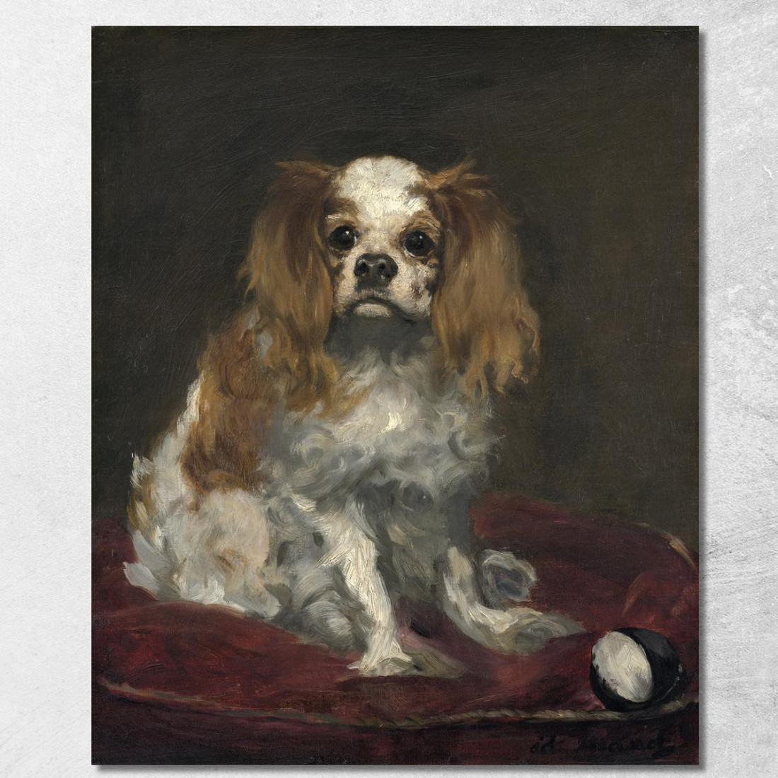 Un King Charles Spaniel Édouard Manet emt3 quadro stampato su tela