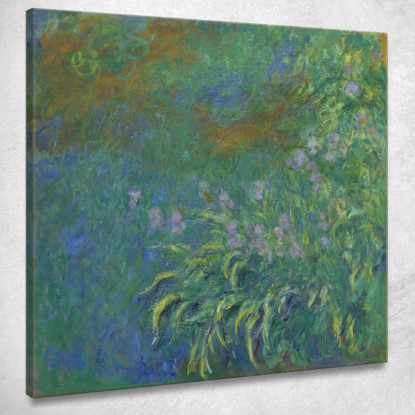 Iris Claude Monet mnt254 quadro stampato su tela