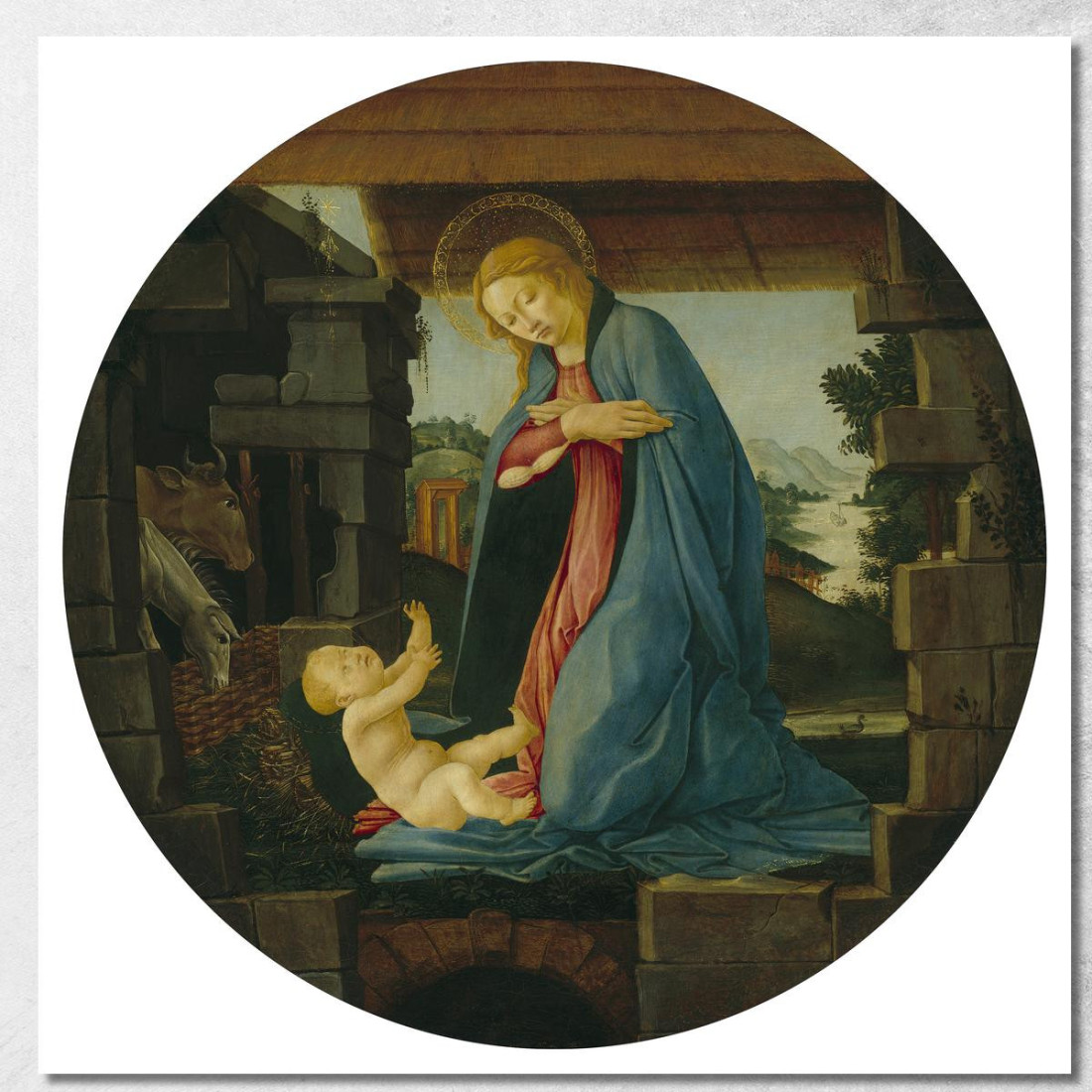 La Vergine Che Adora Il Bambino Sandro Botticelli sbt41 quadro stampato su tela La Vergine Che Adora Il Bambino Sandro Botticelli sbt41 quadro stampato su tela