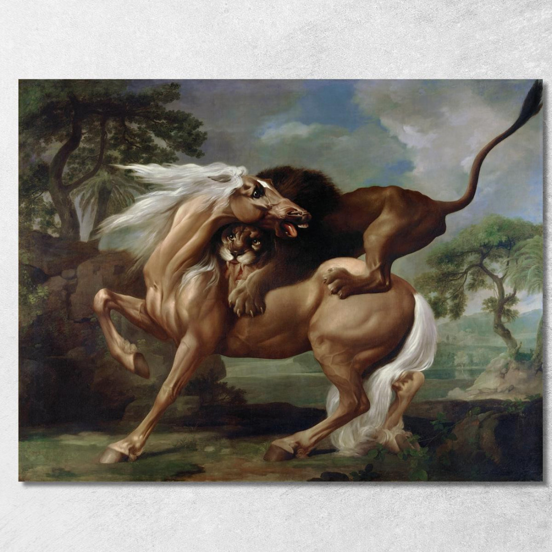 Un Leone Che Attacca Un Cavallo 1762 George Stubbs gst1 quadro stampato su tela