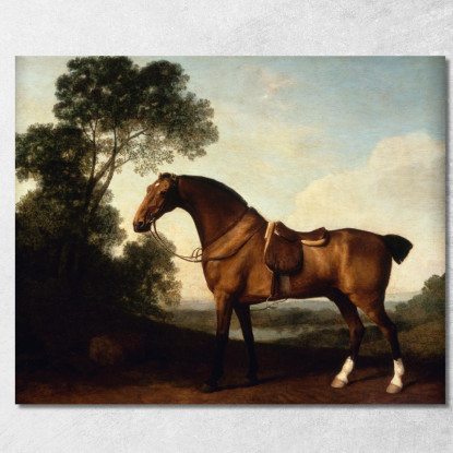 Un Cacciatore Della Baia Sellato George Stubbs gst5 quadro stampato su tela