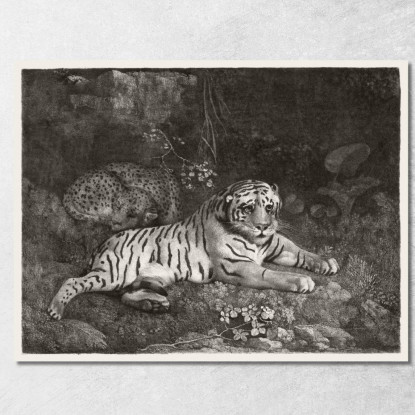 Una Tigre E Un Leopardo Addormentato 1788 George Stubbs gst7 quadro stampato su tela