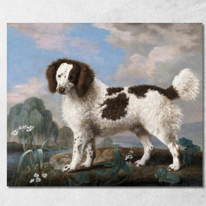 Norfolk Marrone E Bianco O Water Spaniel 1778 George Stubbs gst10 quadro stampato su tela