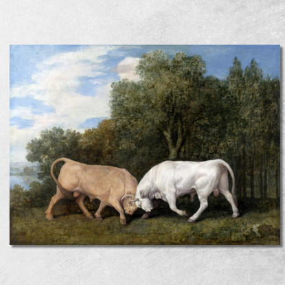 Tori Che Combattono 1786 George Stubbs gst11 quadro stampato su tela