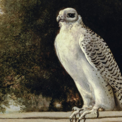 Falco Della Groenlandia 1780 George Stubbs gst18 quadro stampato su tela