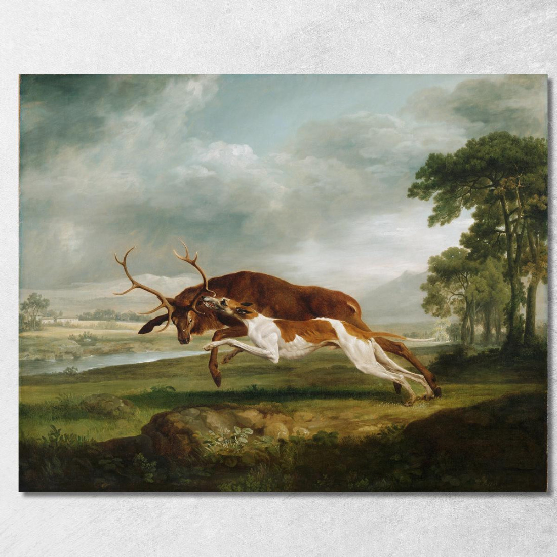 Hound Che Insegue Un Cervo George Stubbs gst23 quadro stampato su tela Hound Che Insegue Un Cervo George Stubbs gst23 quadro stampato su tela