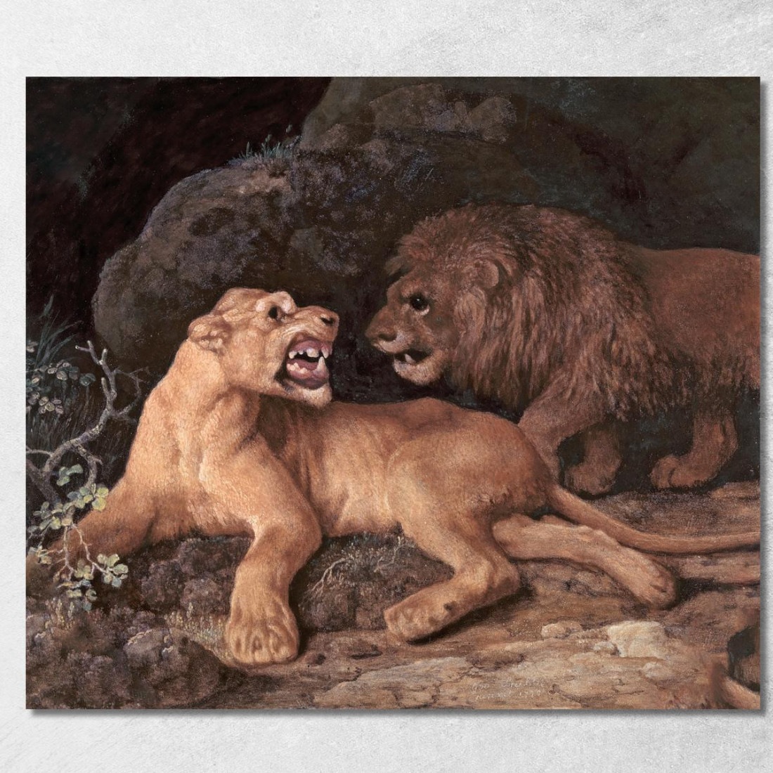Leone E Leonessa George Stubbs gst26 quadro stampato su tela Leone E Leonessa George Stubbs gst26 quadro stampato su tela