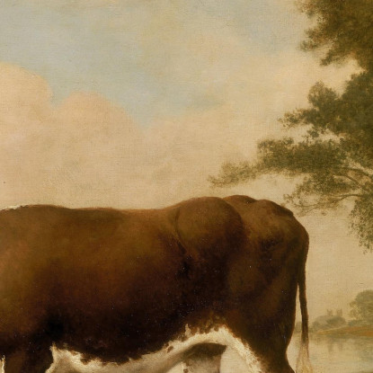 Il Bue Del Lincolnshire George Stubbs gst41 quadro stampato su tela