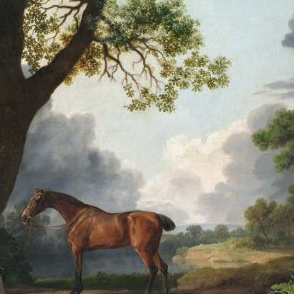 Il Cacciatore Del Terzo Duca Di Dorset Con Uno Sposo E Un Cane 1768 George Stubbs gst44 quadro stampato su tela
