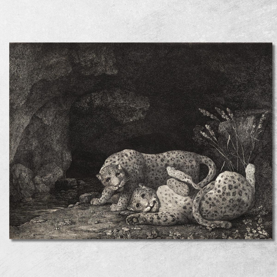 Tigri In Gioco 1780 George Stubbs gst51 quadro stampato su tela Tigri In Gioco 1780 George Stubbs gst51 quadro stampato su tela