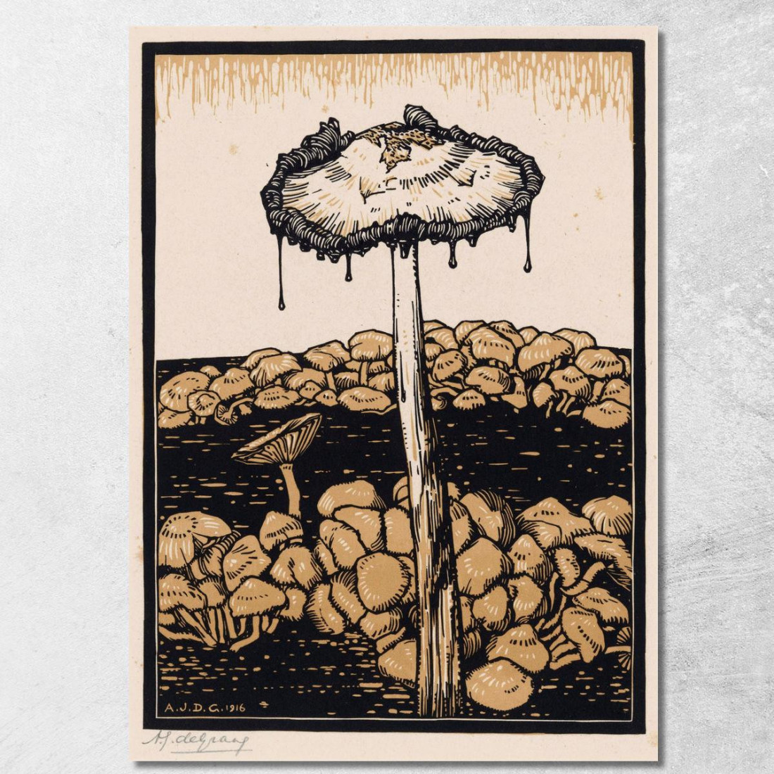Fungo Gocciolante Julie de Graag jdg19 quadro stampato su tela Fungo Gocciolante Julie de Graag jdg19 quadro stampato su tela